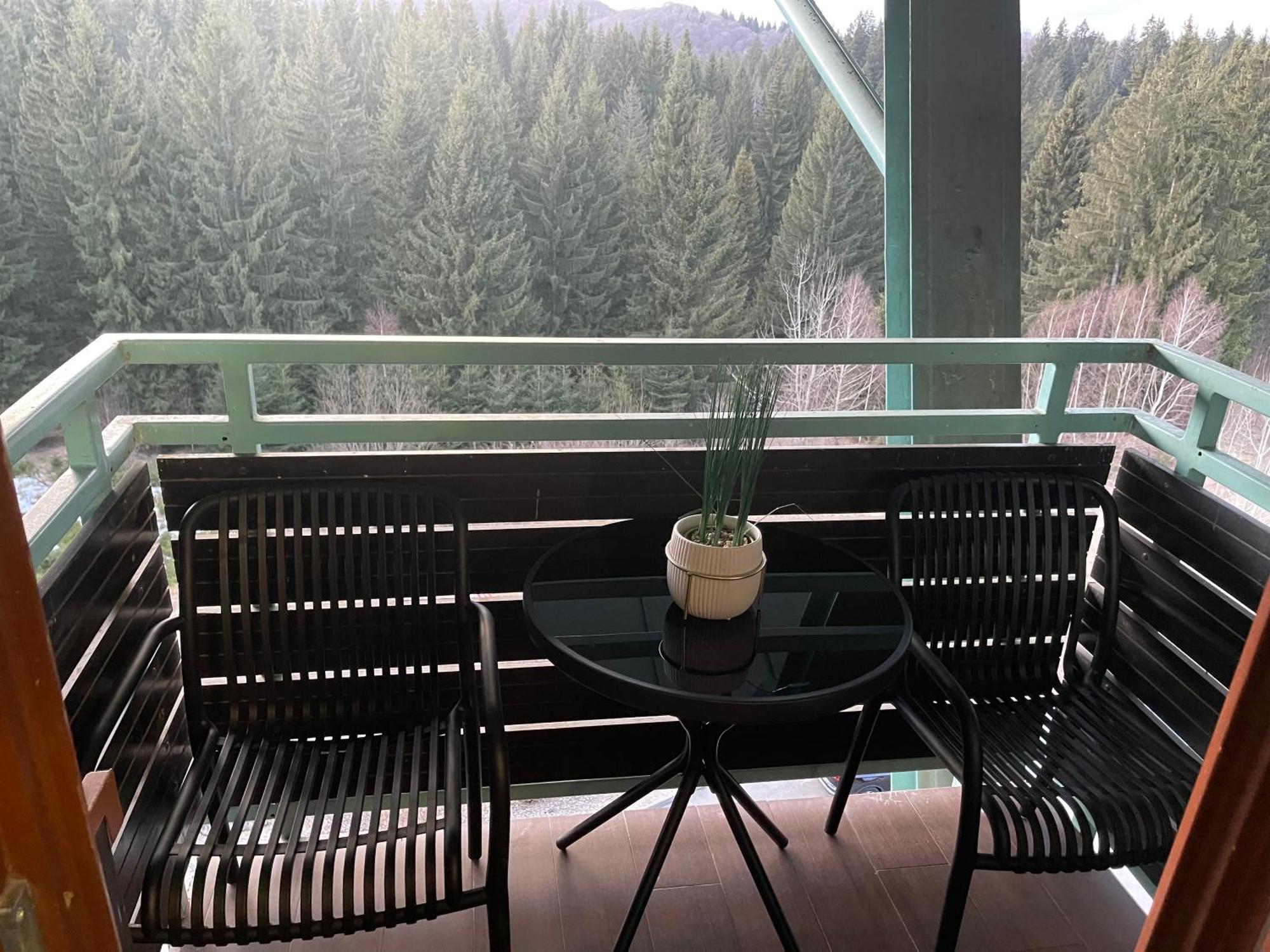 波亚纳布拉索夫Pentahouse Mountain Belle Vue公寓 外观 照片