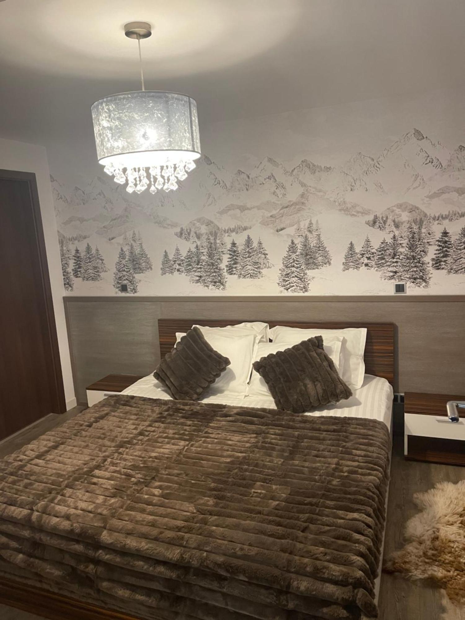 波亚纳布拉索夫Pentahouse Mountain Belle Vue公寓 外观 照片